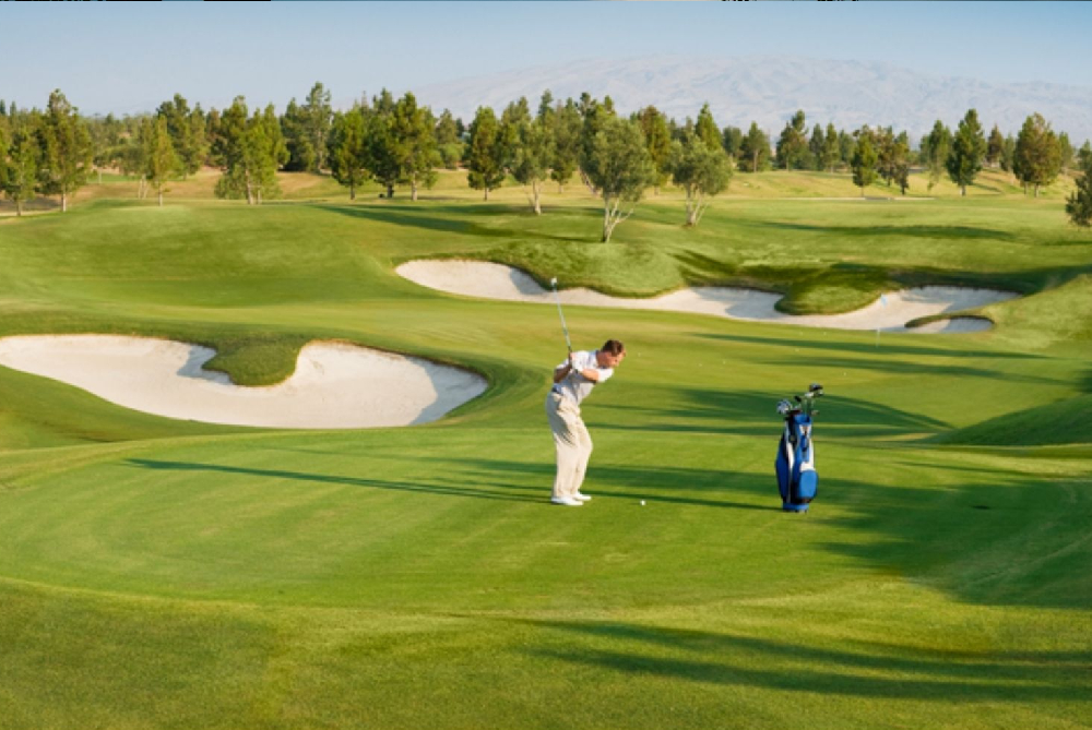 Golf Tours